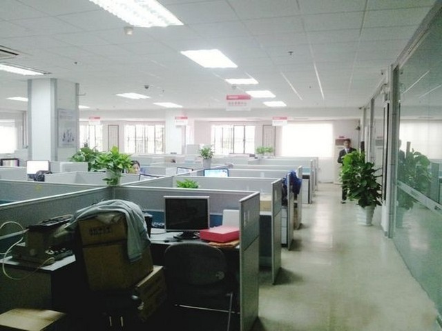 浙江可降解刀叉勺系列