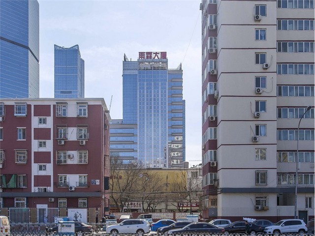 黑龙江正规植绒拭子源头直供