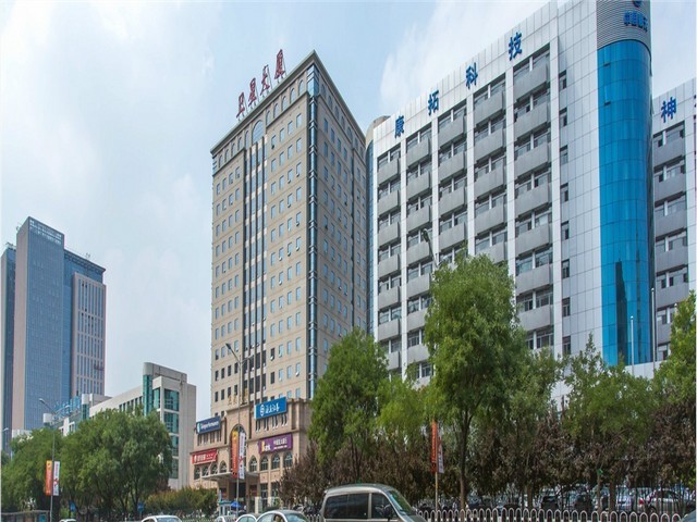 南安商场绿植盆栽